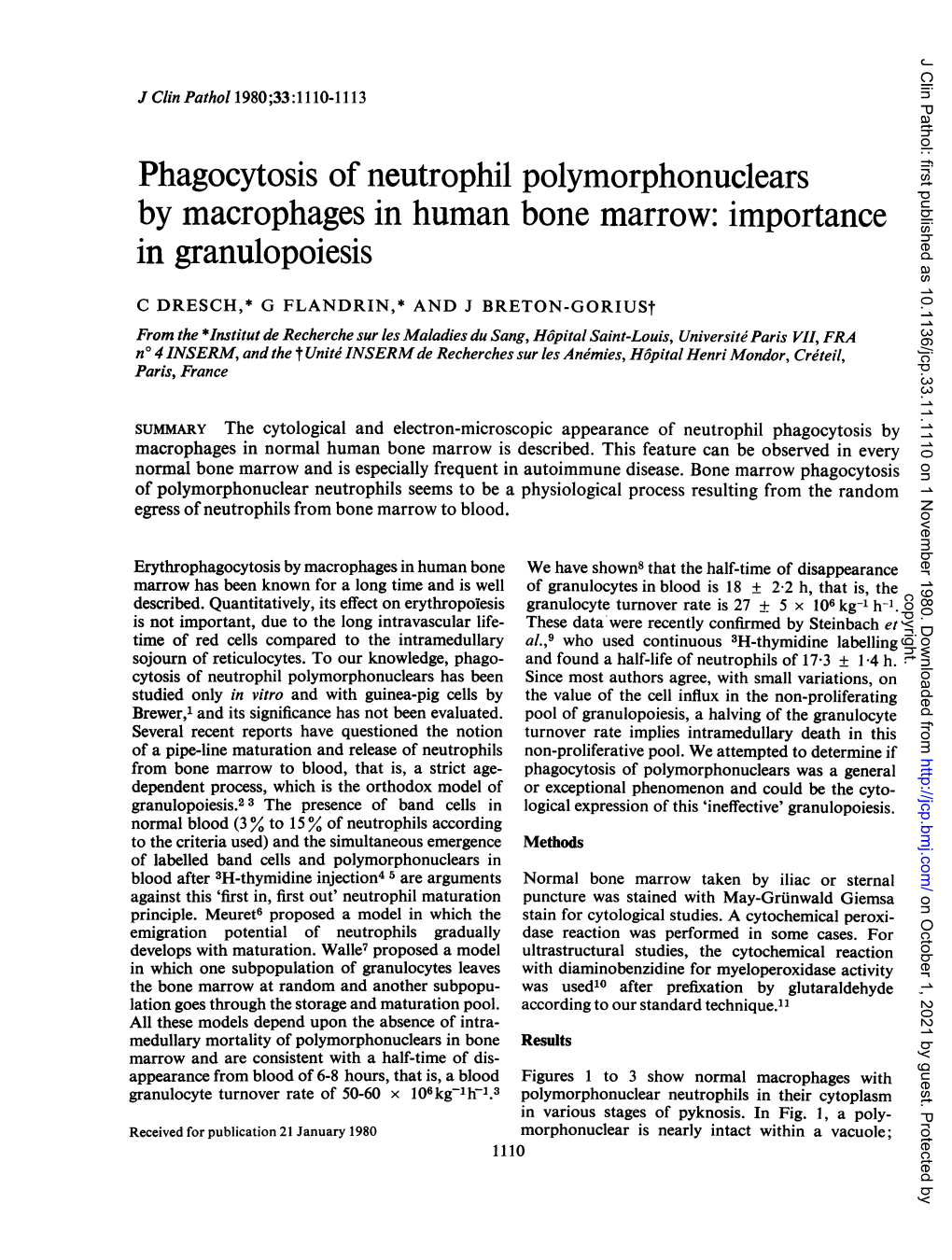 Phagocytosis of Neutrophil Polymorphonuclears by Macrophages in Human Bone Marrow: Importance in Granulopoiesis