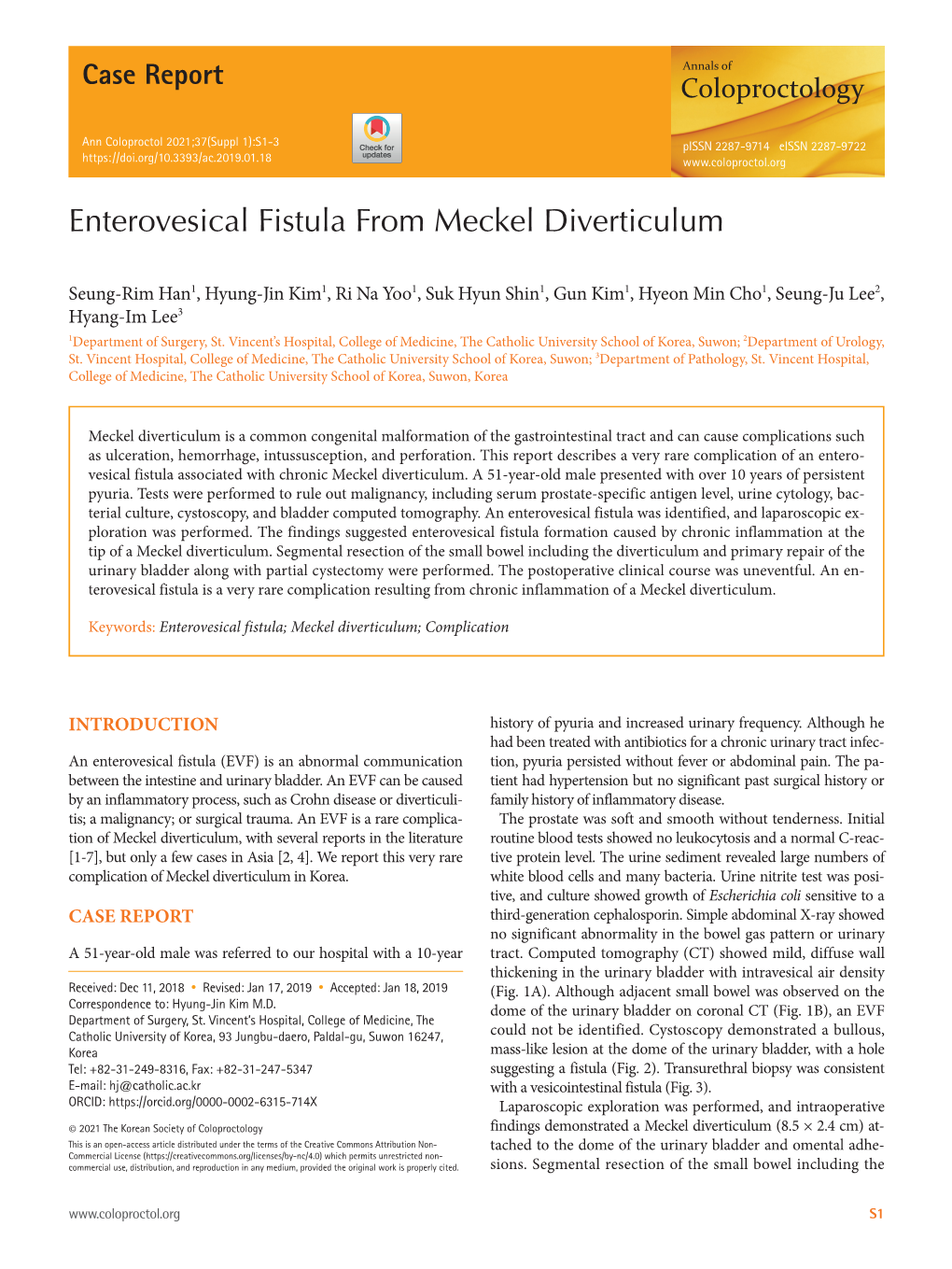 Enterovesical Fistula from Meckel Diverticulum