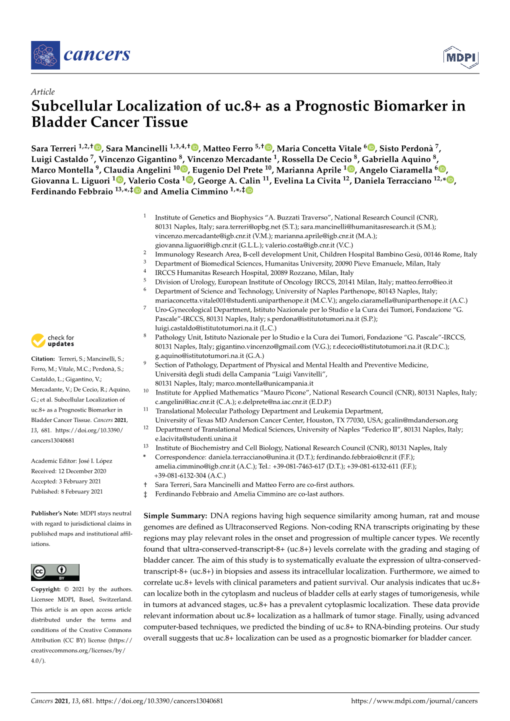 Subcellular Localization of Uc.8+ As a Prognostic Biomarker in Bladder Cancer Tissue