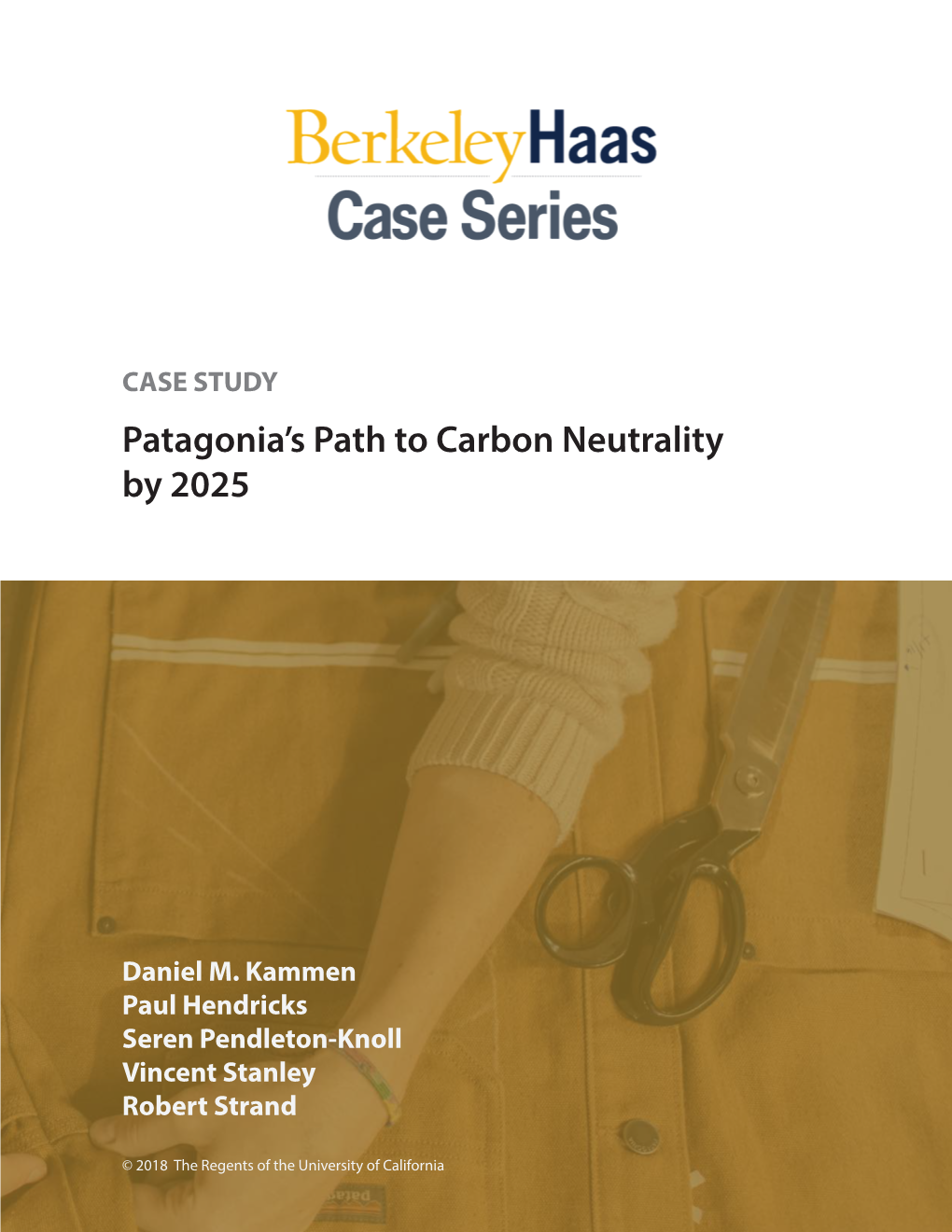 Patagonia's Path to Carbon Neutrality by 2025
