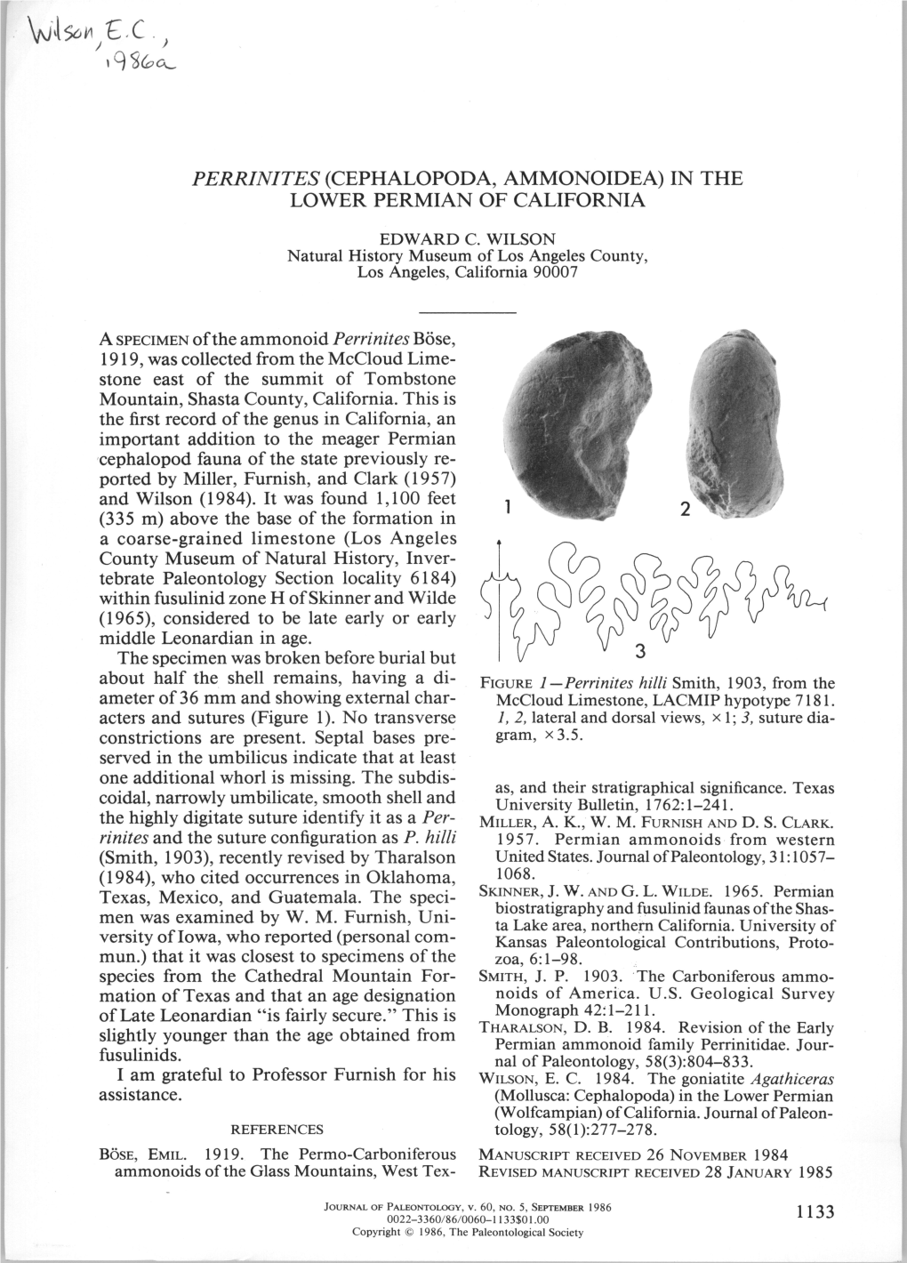 Perrinites (Cephalopoda, Ammonoidea) in the Lower Permian of California Edward C