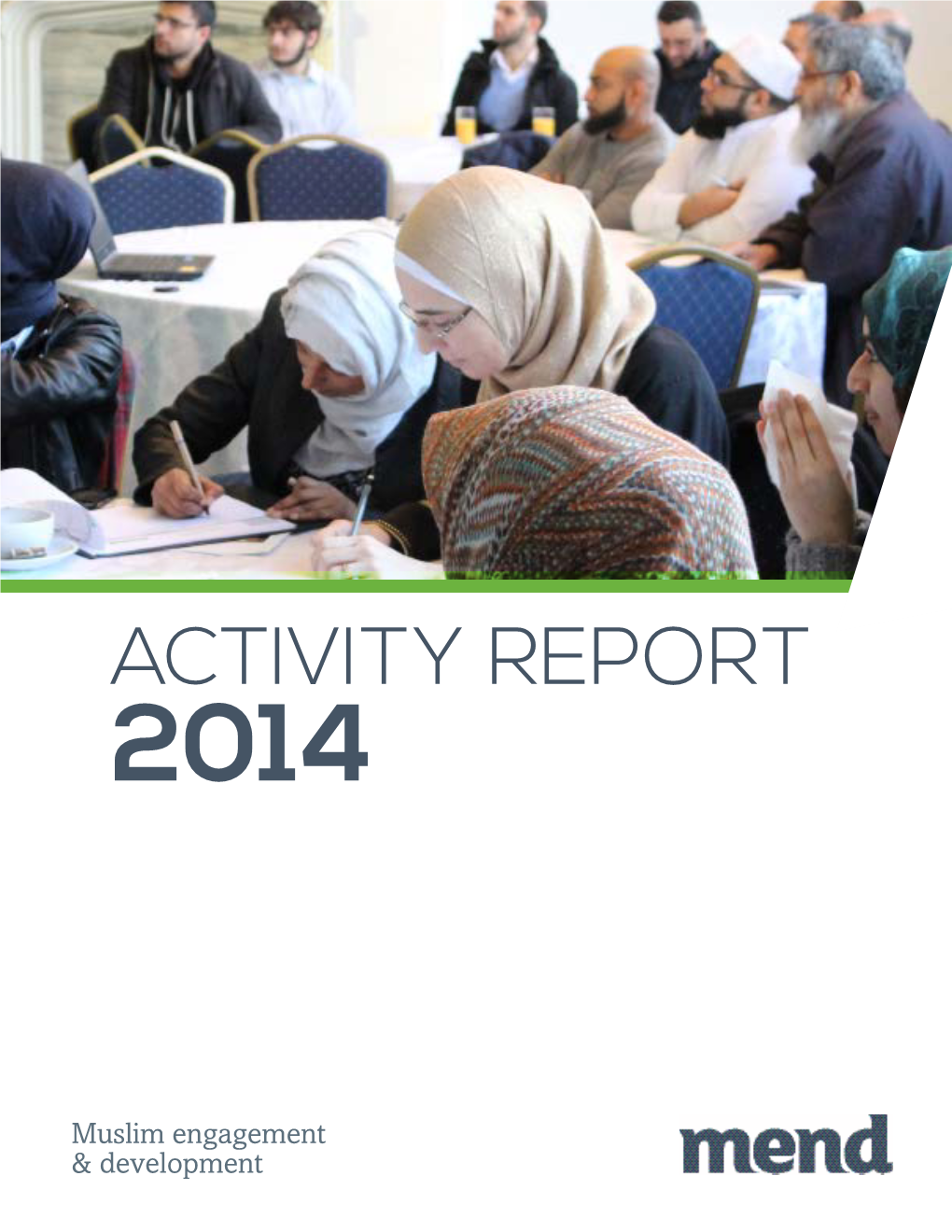 MEND Activity Report