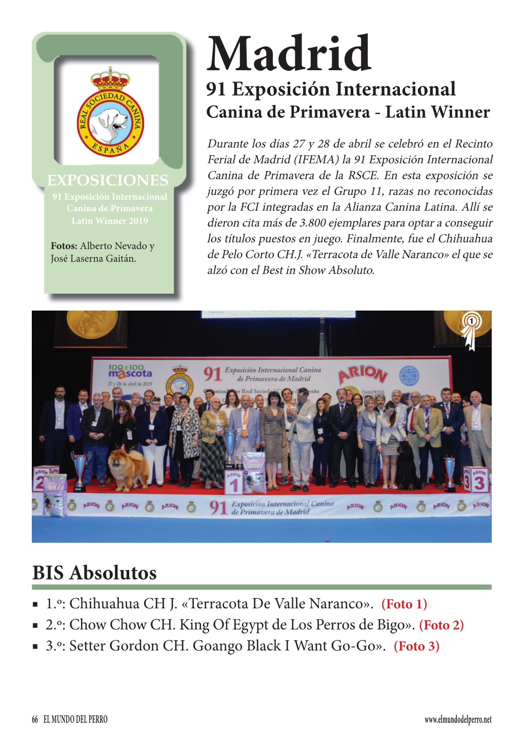 91 Exposición Internacional Canina De Primavera - Latin Winner