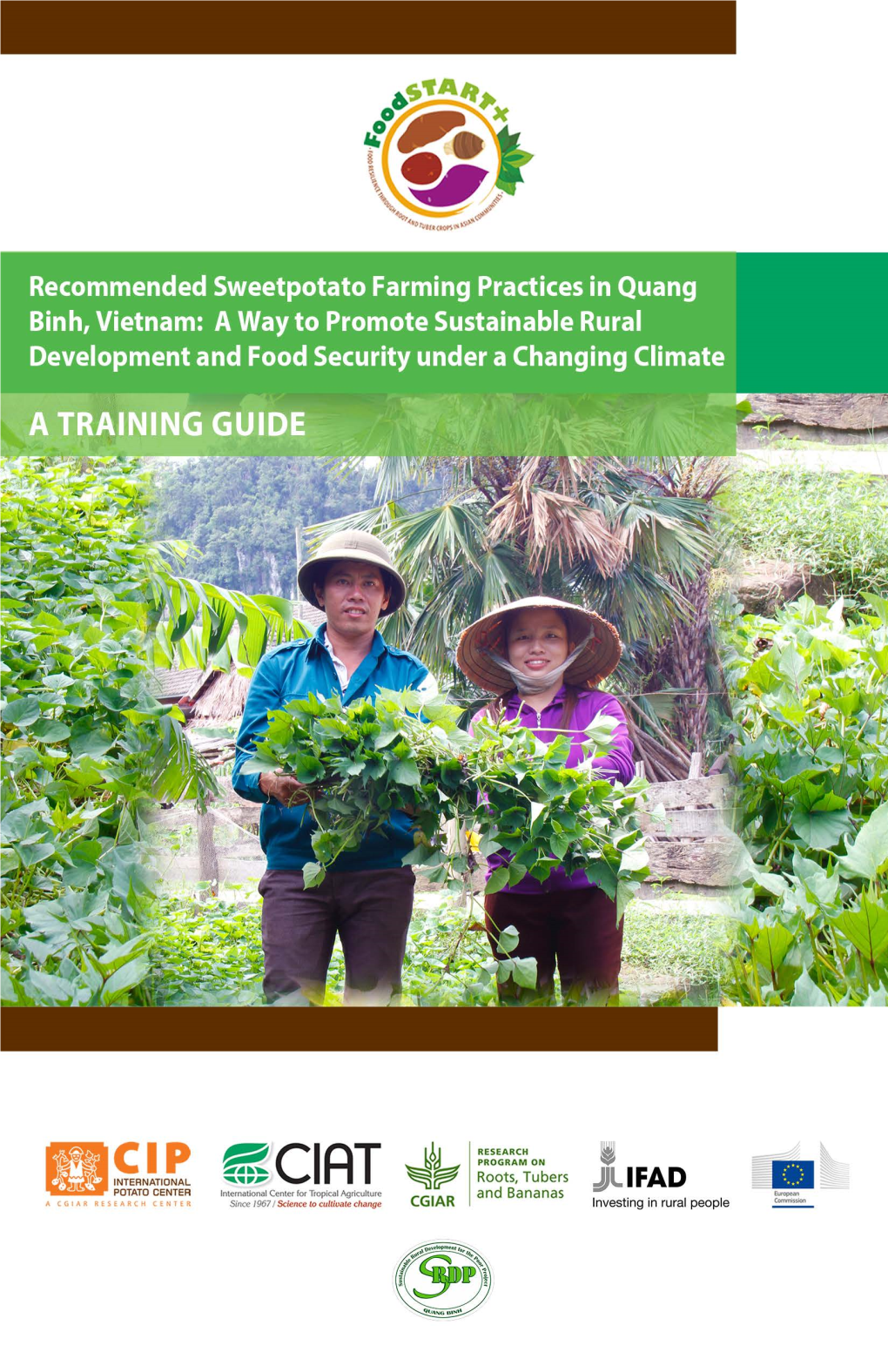 Recommended Sweetpotato Farming Practices in Quang Binh, Vietnam: a Way to Promote Sustainable Rural Development and Food Security Under a Changing Climate