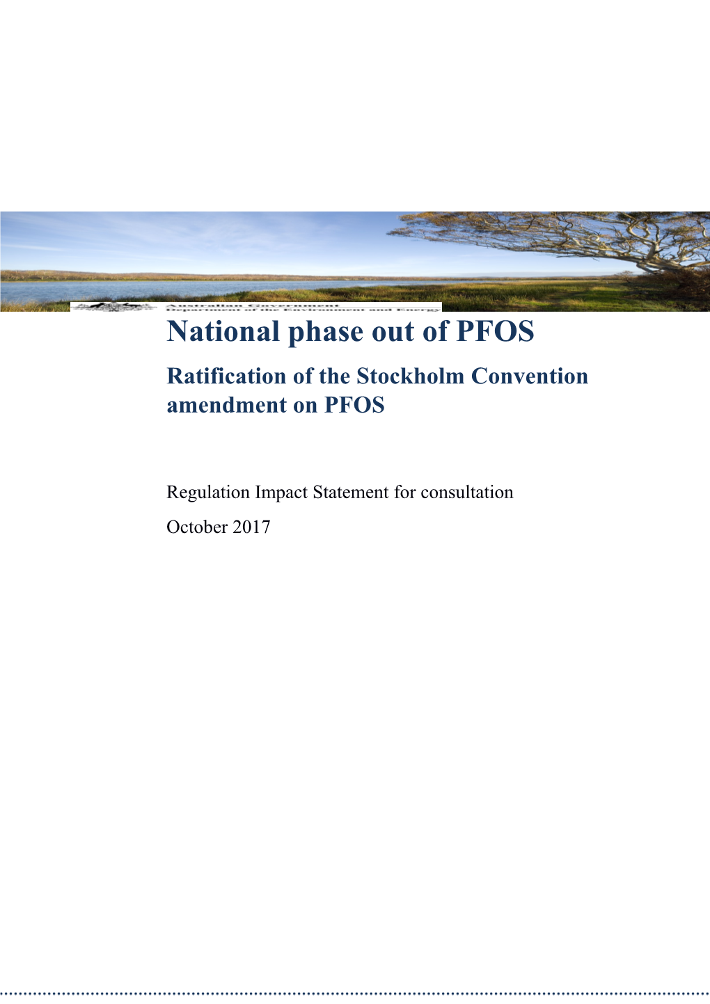 National Phase out of Pfosratification of the Stockholm Convention Amendment on PFOS Regulation