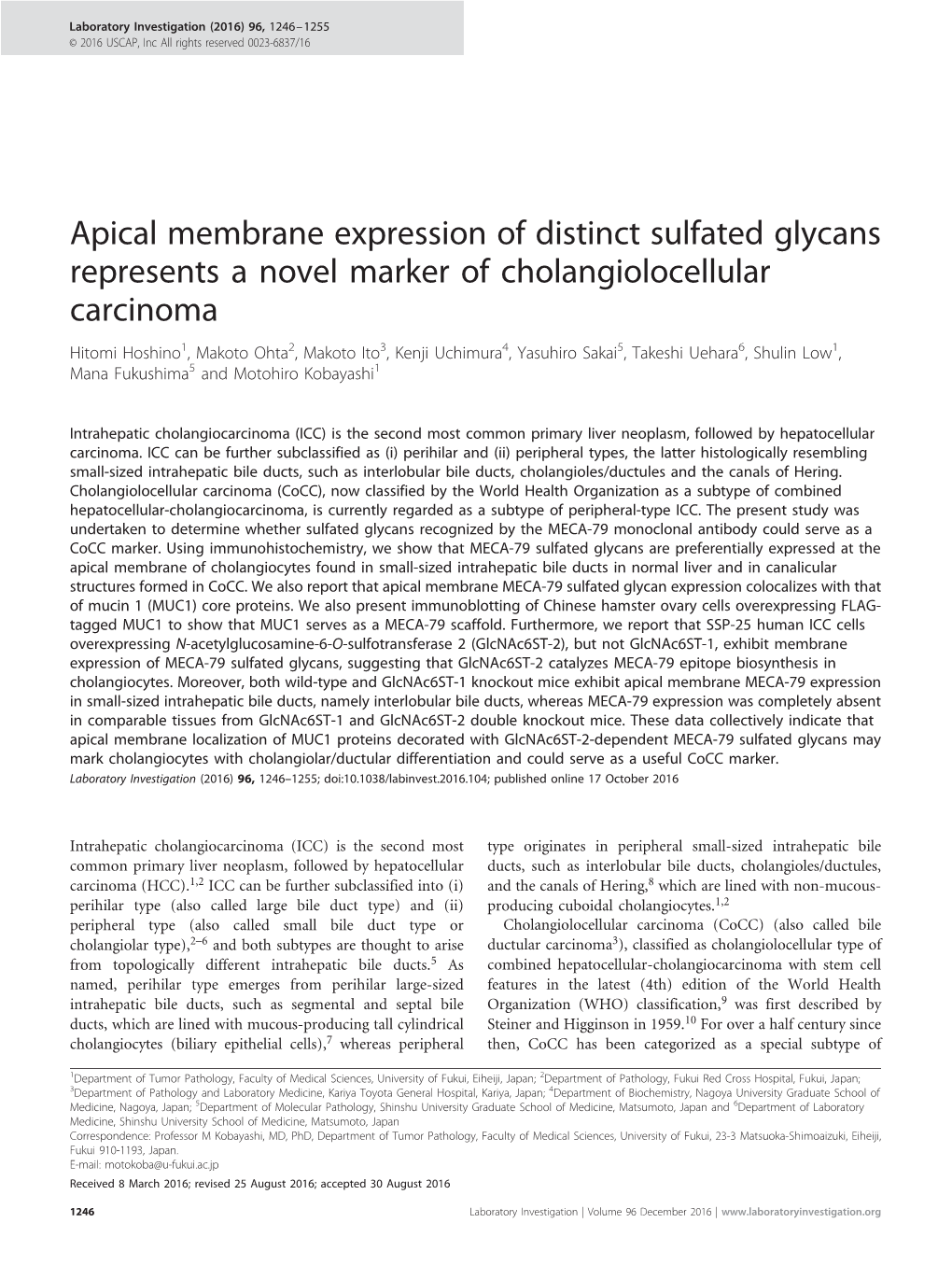 Apical Membrane Expression of Distinct Sulfated Glycans Represents a Novel Marker of Cholangiolocellular Carcinoma