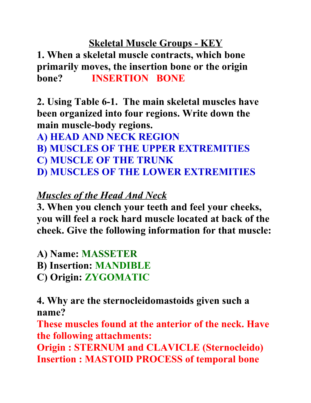 Skeletal Muscle Groups - KEY