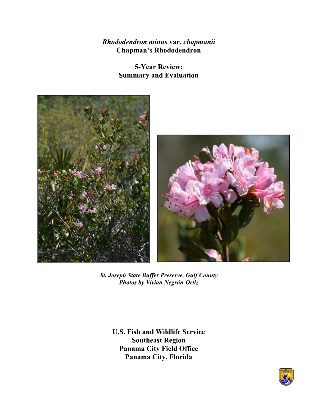 Chapman's Rhododendron 5-Year Review