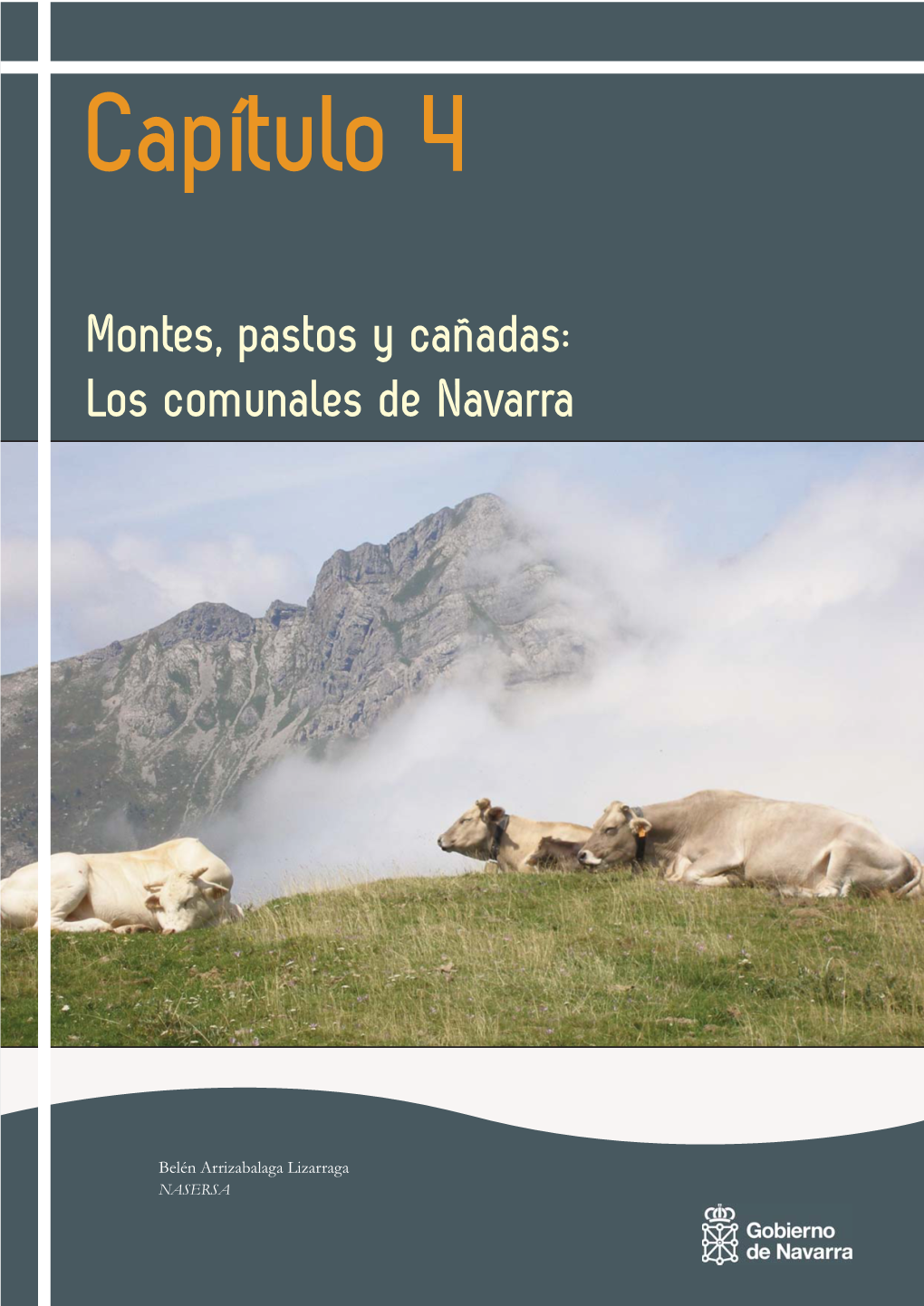 Capítulo 4. Montes, Pastos Y Cañadas: Los Comunales De Navarra