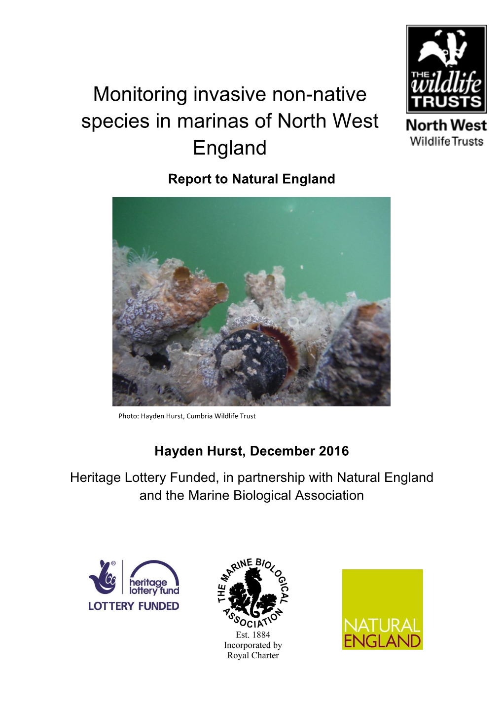 Monitoring Invasive Non-Native Species in Marinas of North West England