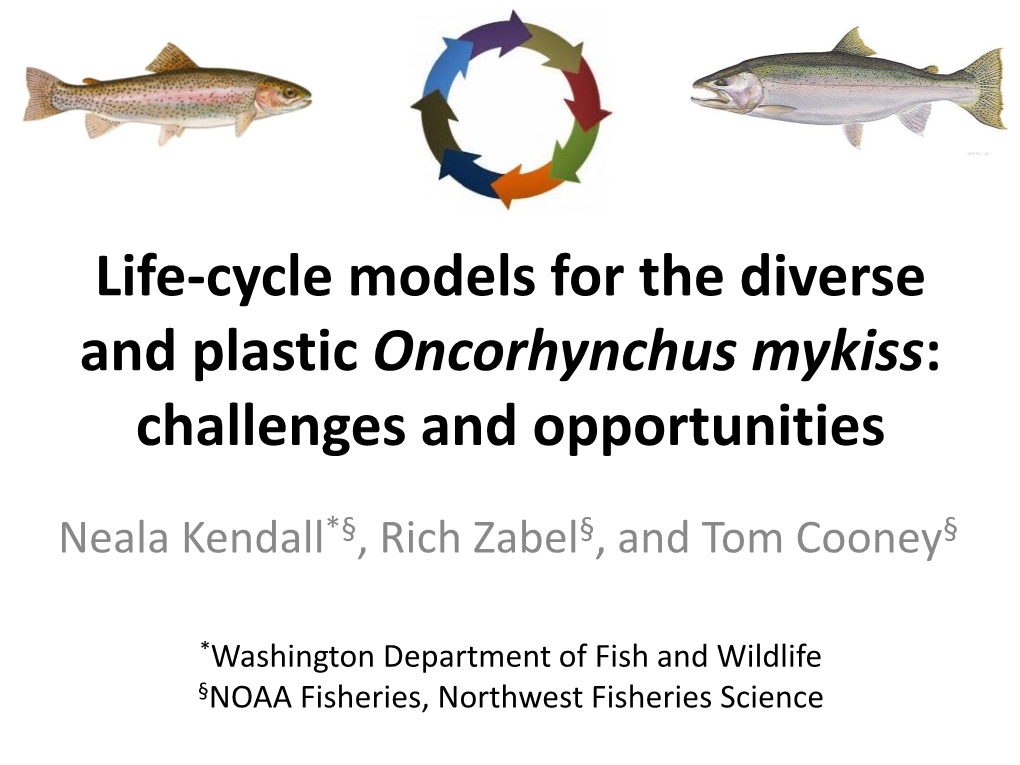Life-Cycle Models for the Diverse and Plastic Oncorhynchus Mykiss: Challenges and Opportunities