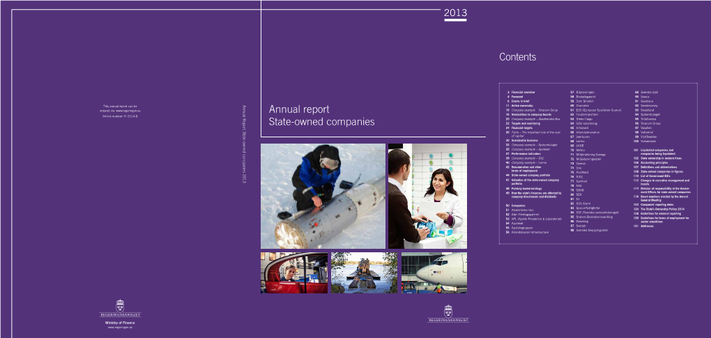 Annual Report State-Owned Companies 2013