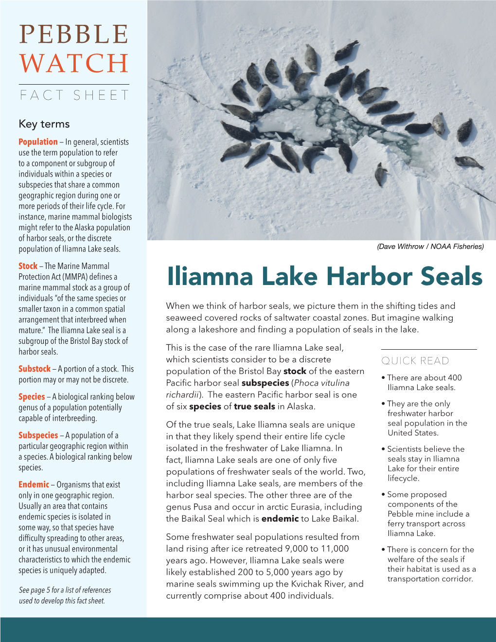 PEBBLE WATCH Iliamna Lake Harbor Seals