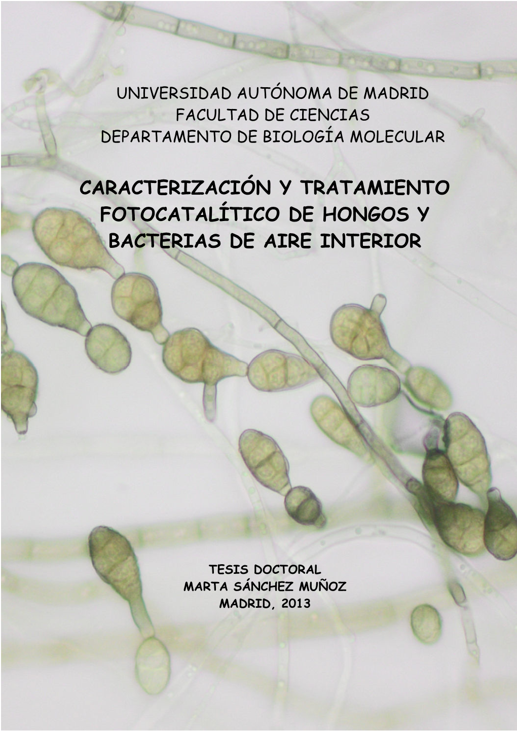 Caracterización Y Tratamiento Fotocatalítico De Hongos Y Bacterias De Aire Interior