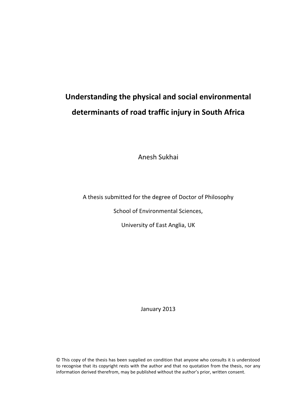 Understanding the Physical and Social Environmental Determinants of Road Traffic Injury in South Africa