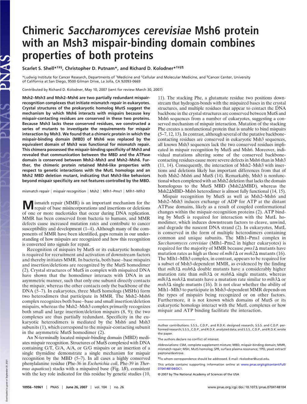 Chimeric Saccharomyces Cerevisiae Msh6 Protein with an Msh3 Mispair-Binding Domain Combines Properties of Both Proteins