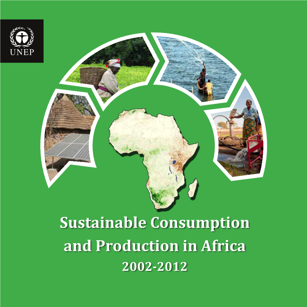 Sustainable Consumption and Production in Africa 2002-2012