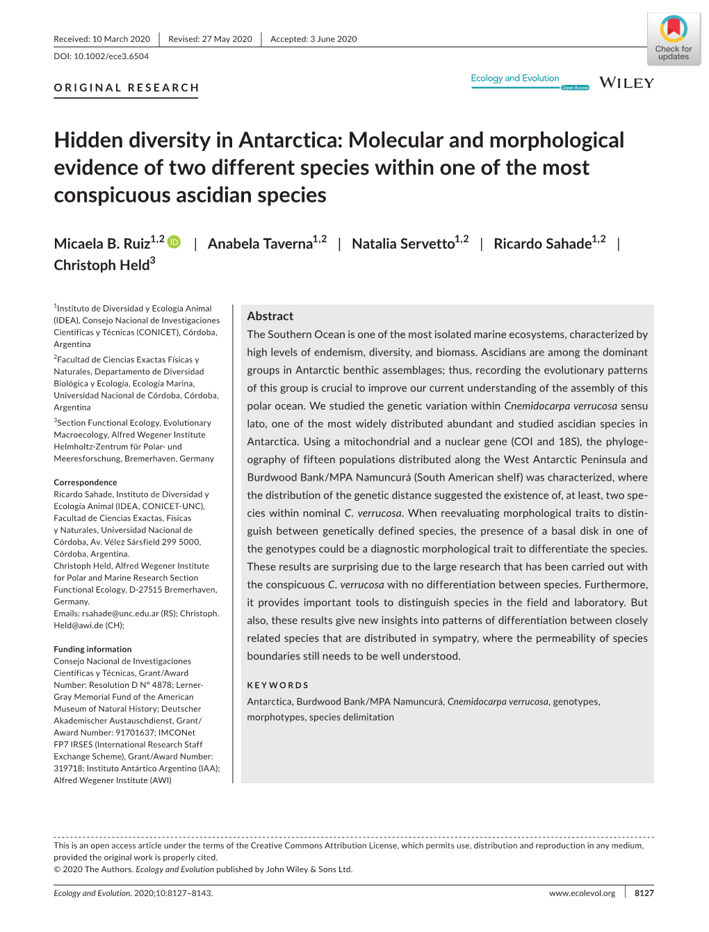 Hidden Diversity in Antarctica: Molecular and Morphological Evidence of Two Different Species Within One of the Most Conspicuous Ascidian Species