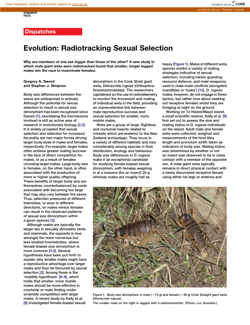 Radiotracking Sexual Selection