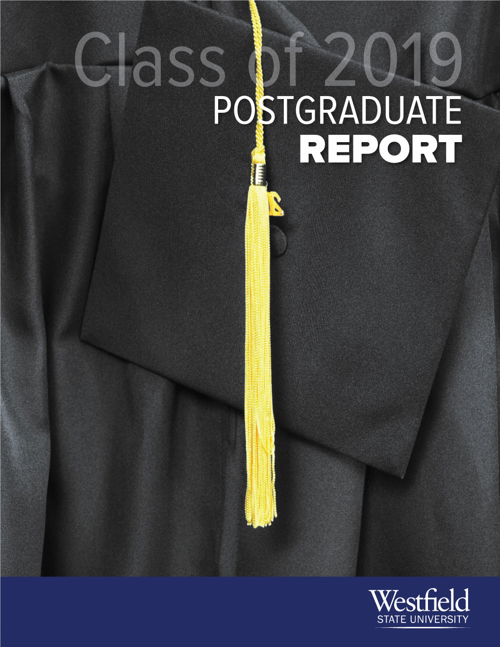 Post-Graduate Report