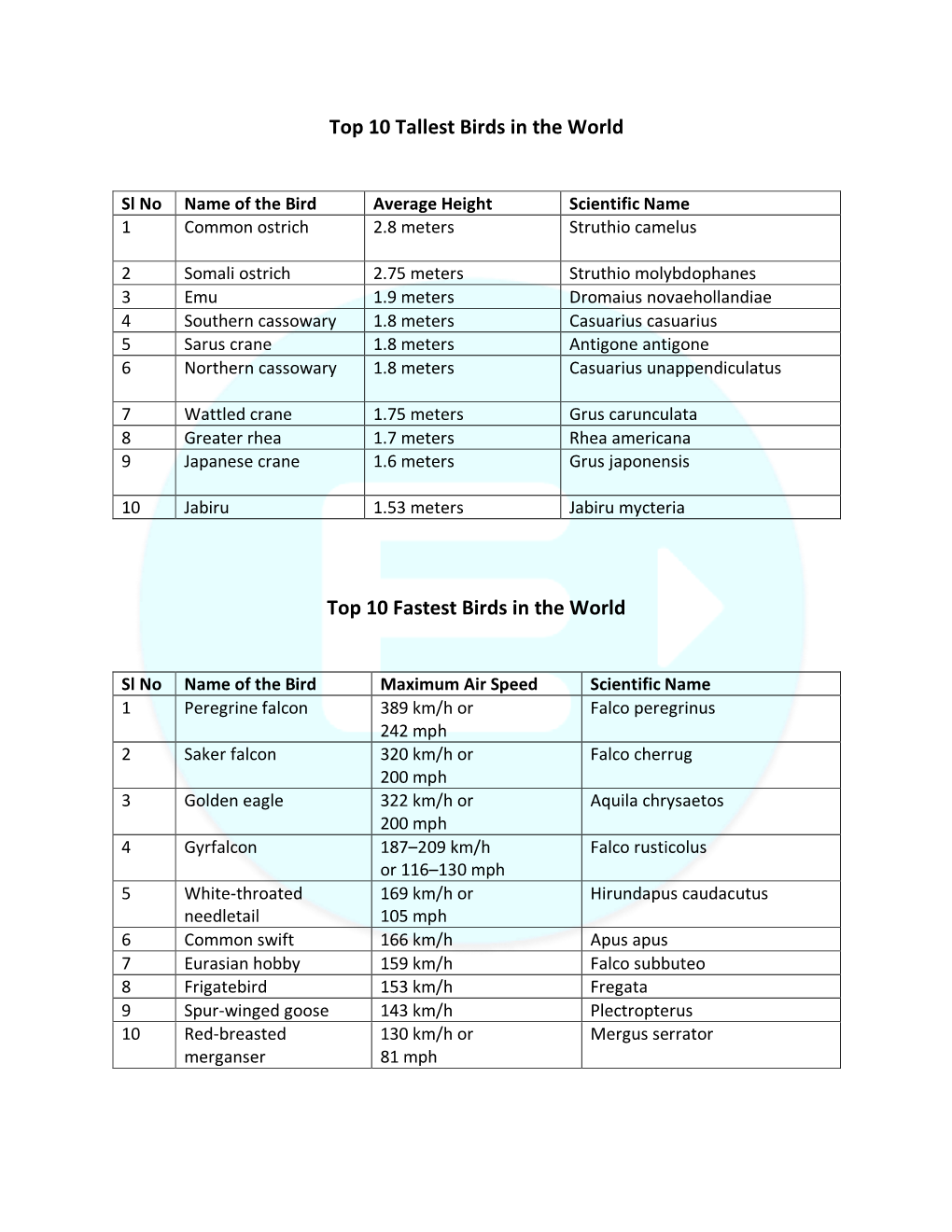 List of Birds- Tallest, Fastest, Largest, Smallest