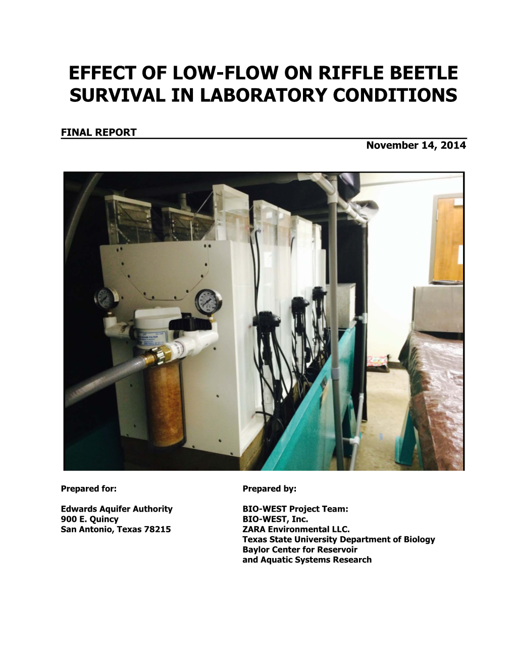 Effects of Low-Flow on Riffle Beetle Survival