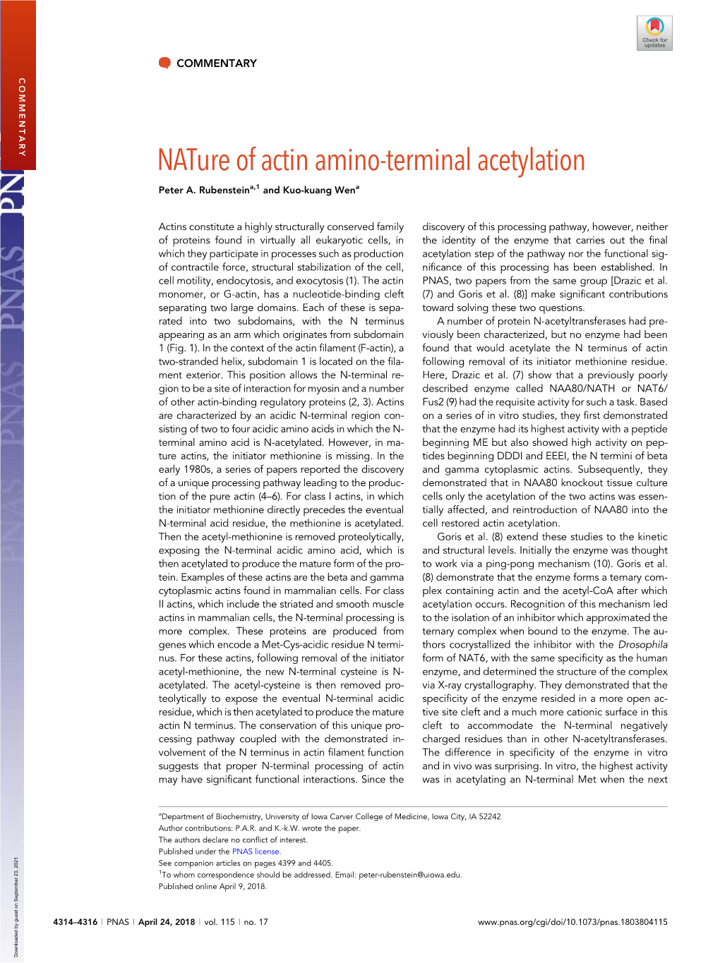 Nature of Actin Amino-Terminal Acetylation