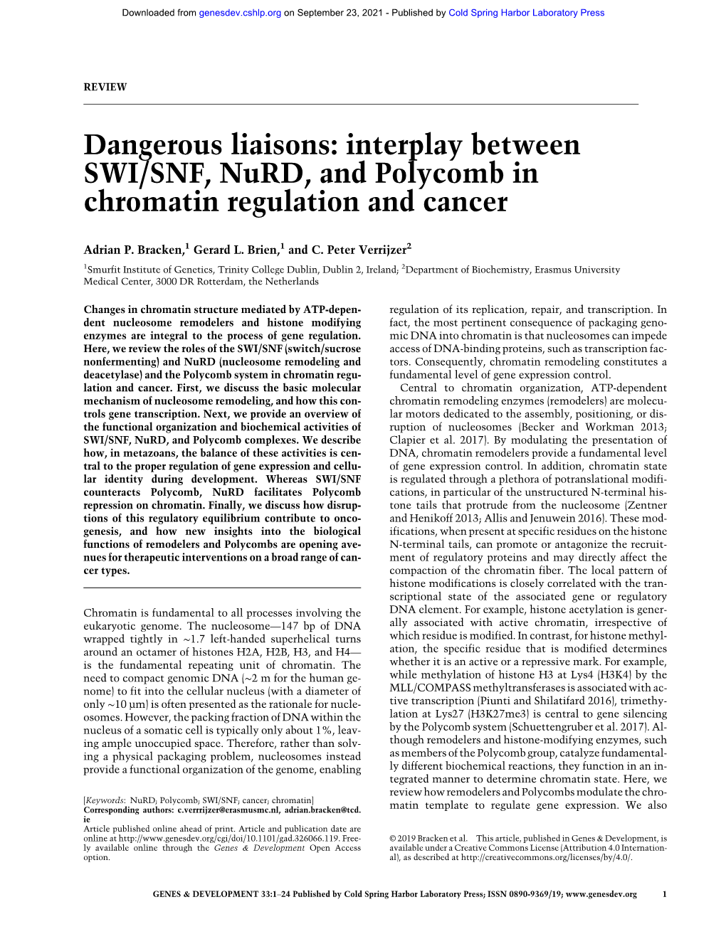 Interplay Between SWI/SNF, Nurd, and Polycomb in Chromatin Regulation and Cancer