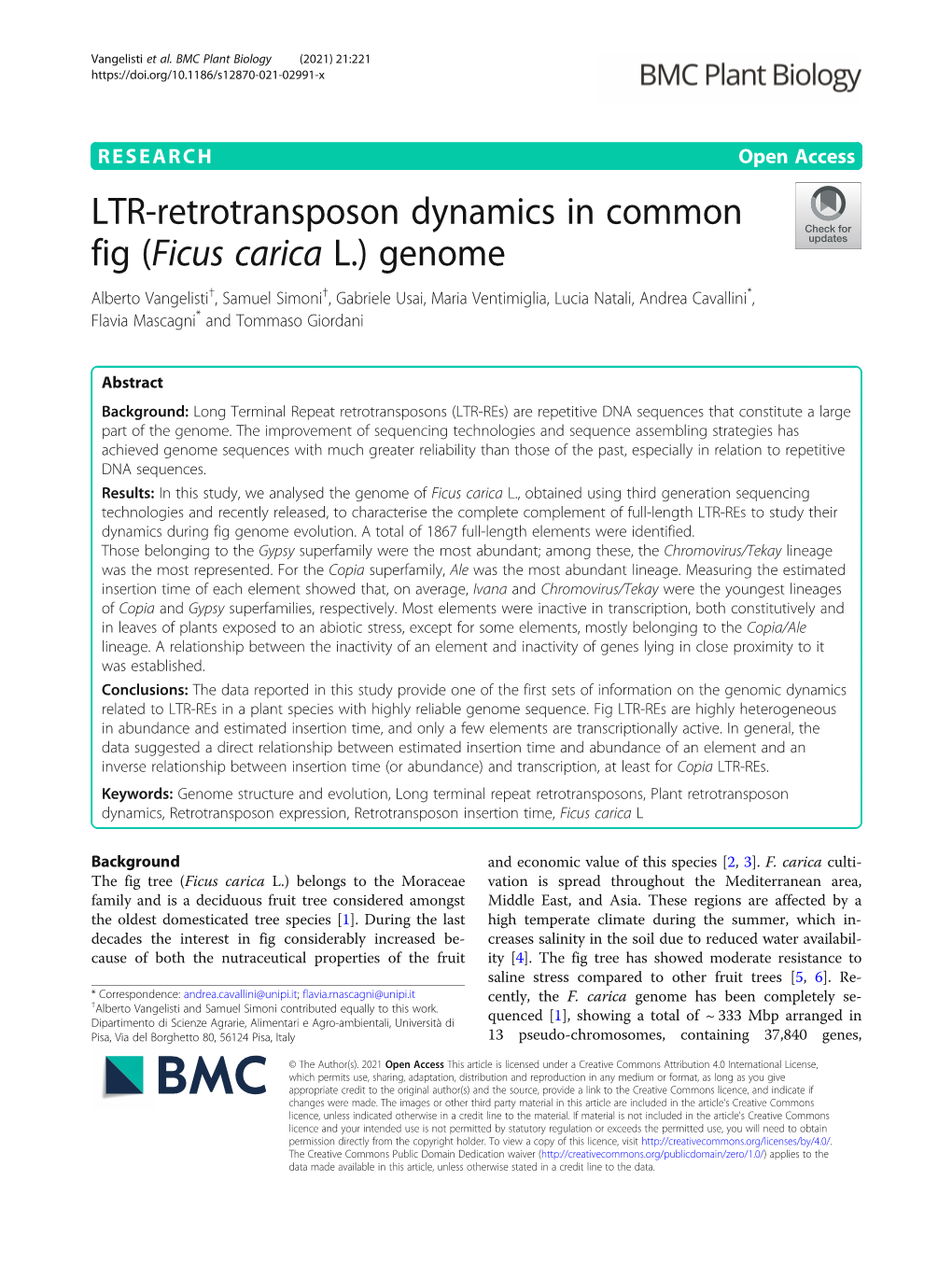 LTR-Retrotransposon Dynamics in Common Fig (Ficus Carica L.) Genome