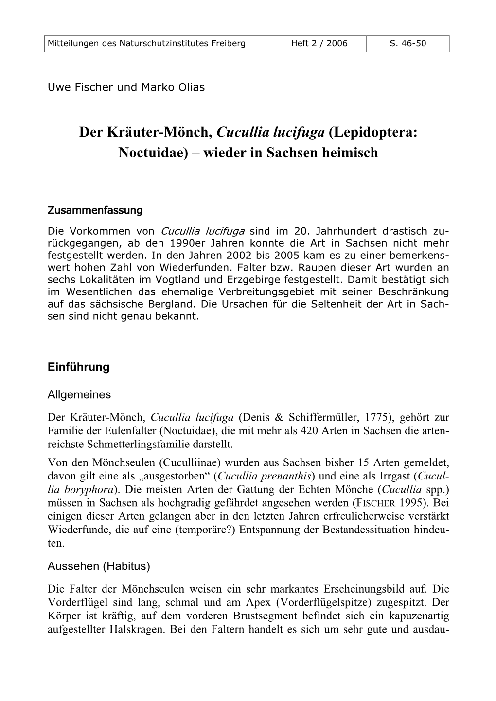 Der Kräuter-Mönch, Cucullia Lucifuga (Lepidoptera: Noctuidae) – Wieder in Sachsen Heimisch