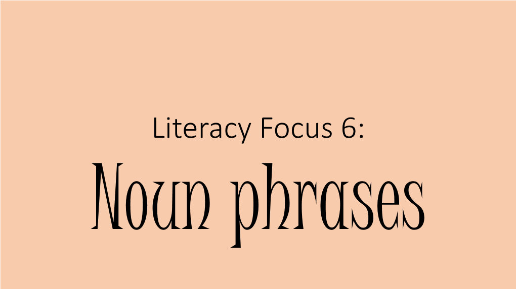 Literacy Focus 6 – Noun Phrases