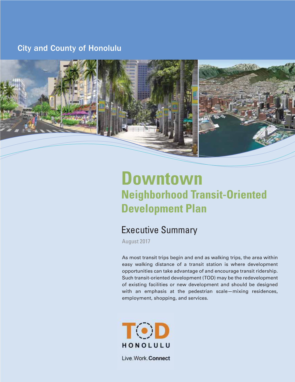 Downtown Neighborhood Transit-Oriented Development Plan