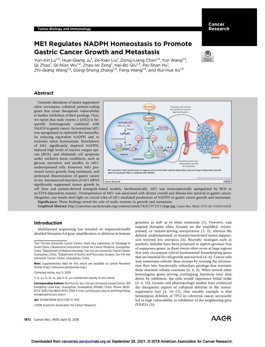 ME1 Regulates NADPH Homeostasis to Promote Gastric Cancer Growth