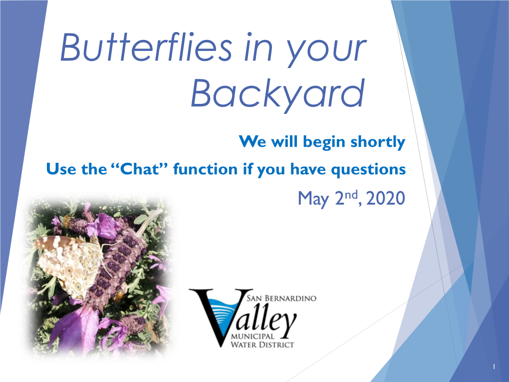 Butterflies in Your Backyard