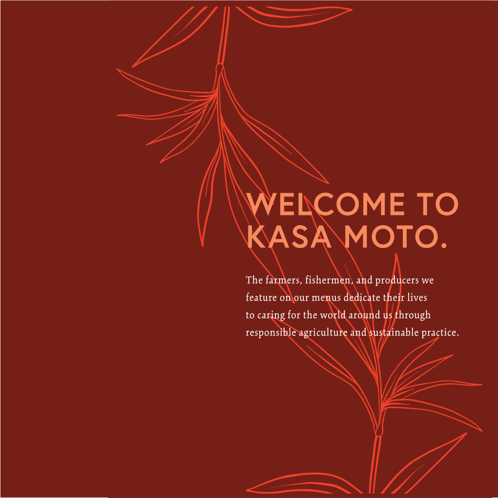 Welcome to Kasa Moto
