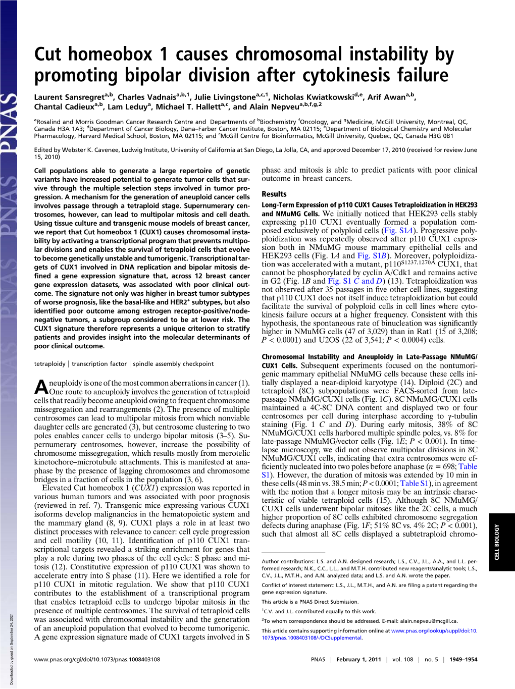 Cut Homeobox 1 Causes Chromosomal Instability by Promoting Bipolar Division After Cytokinesis Failure