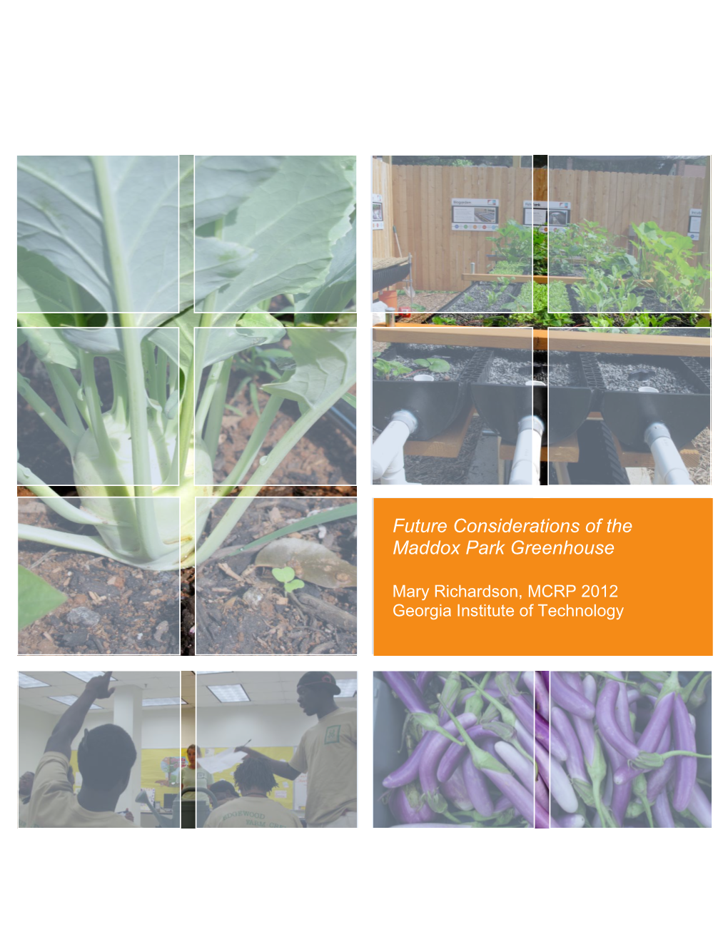 Future Considerations of the Maddox Park Greenhouse