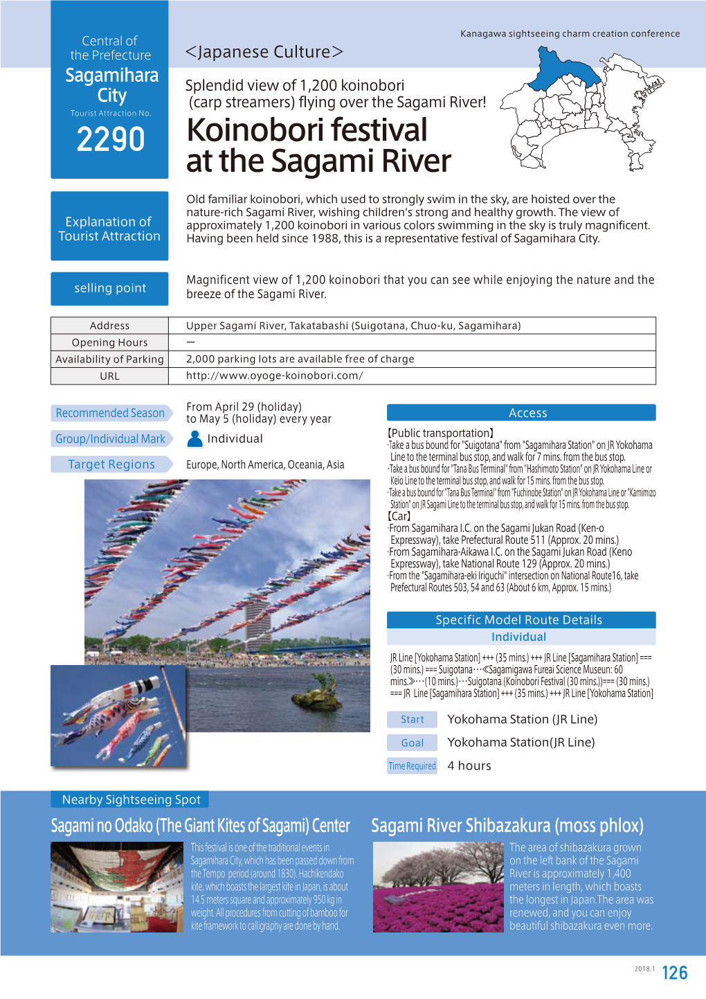 Koinobori Festival at the Sagami River