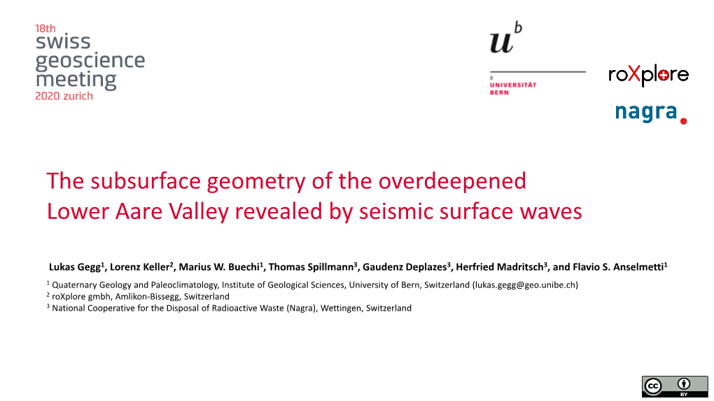 The Subsurface Geometry of the Overdeepened Lower Aare Valley Revealed by Seismic Surface Waves