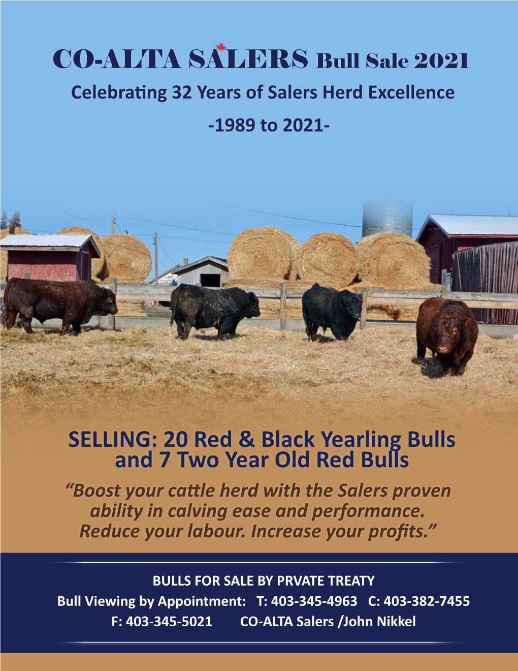 CO-ALTA SALERS Bull Sale 2021 Celebrating 32 Years of Salers Herd Excellence -1989 to 2021