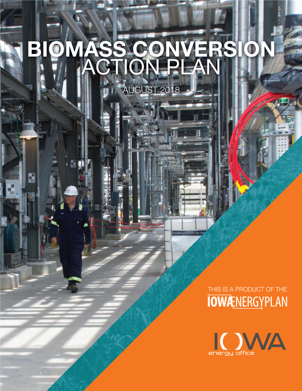 Biomass Conversion Action Plan the Role of Biomass in Iowa Miscanthus X Giganteus (Miscanthus) Grass, As Well As Oat Hulls from a Nearby Food Processor