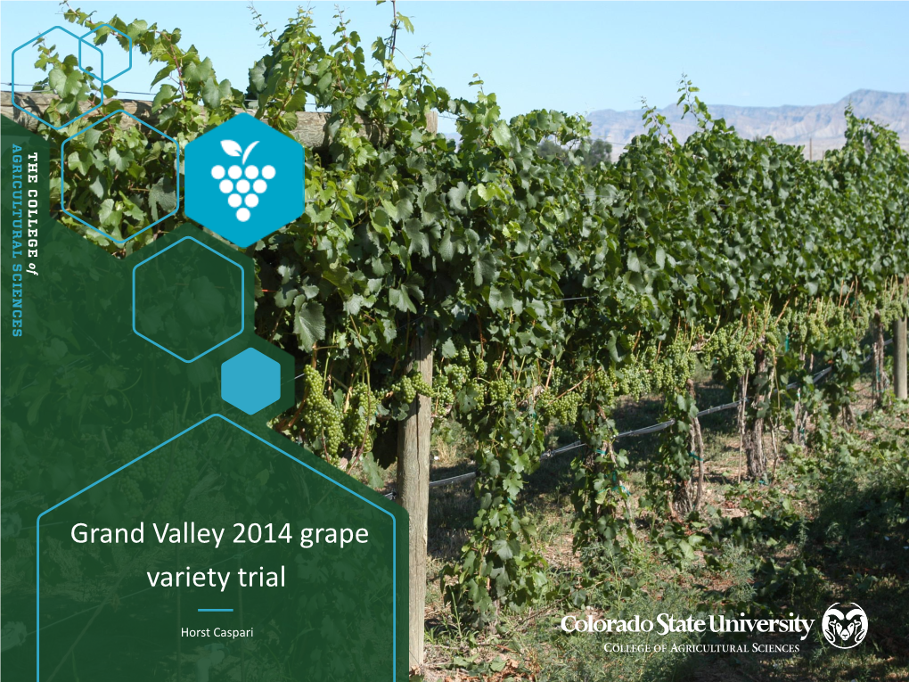 Grand Valley 2014 Grape Variety Trial