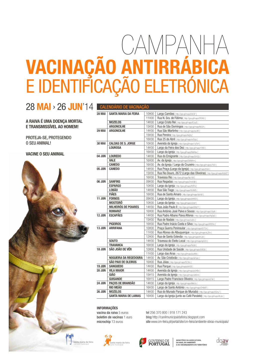 Vacinação Antirrábica E Identificação Eletrónica