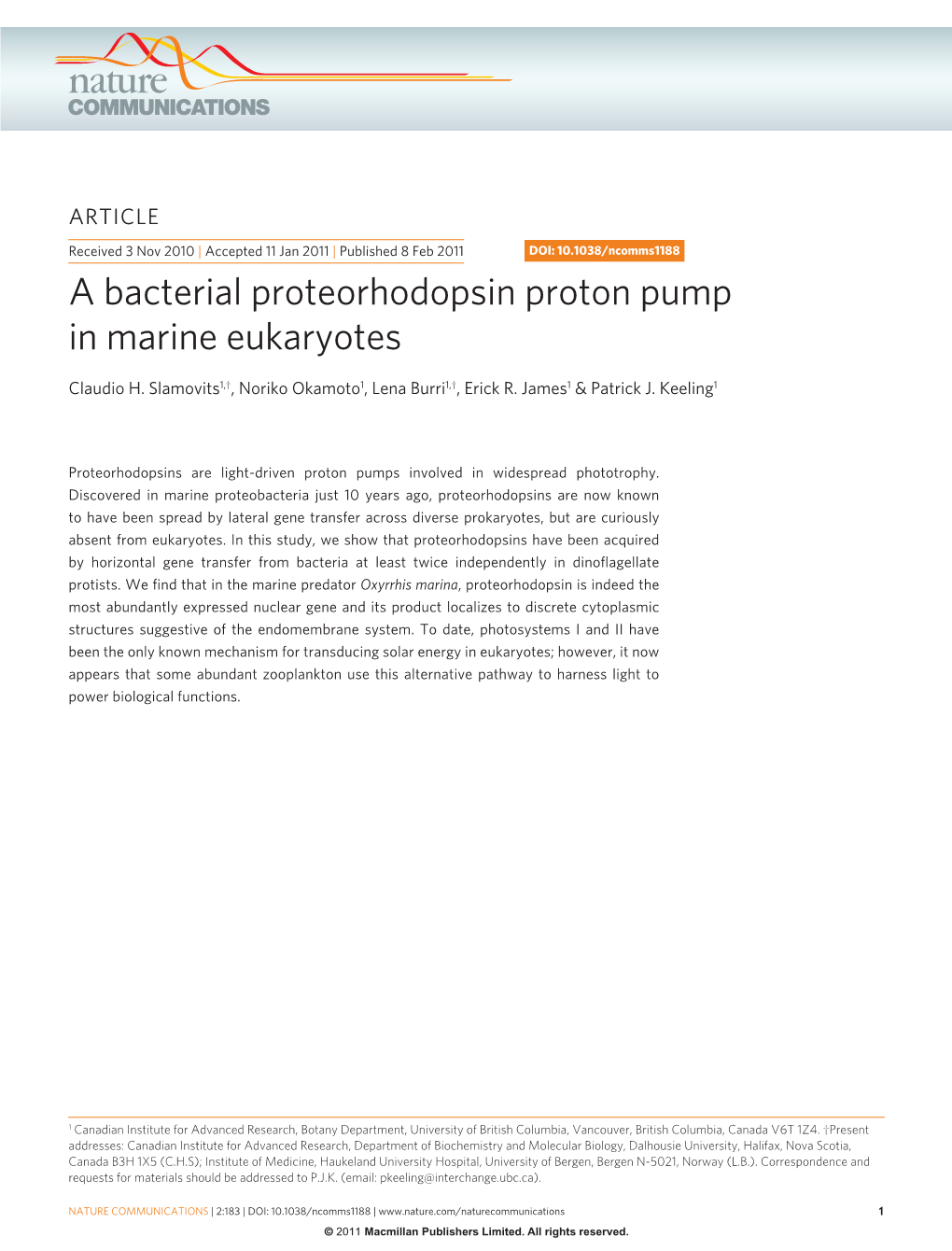 A Bacterial Proteorhodopsin Proton Pump in Marine Eukaryotes