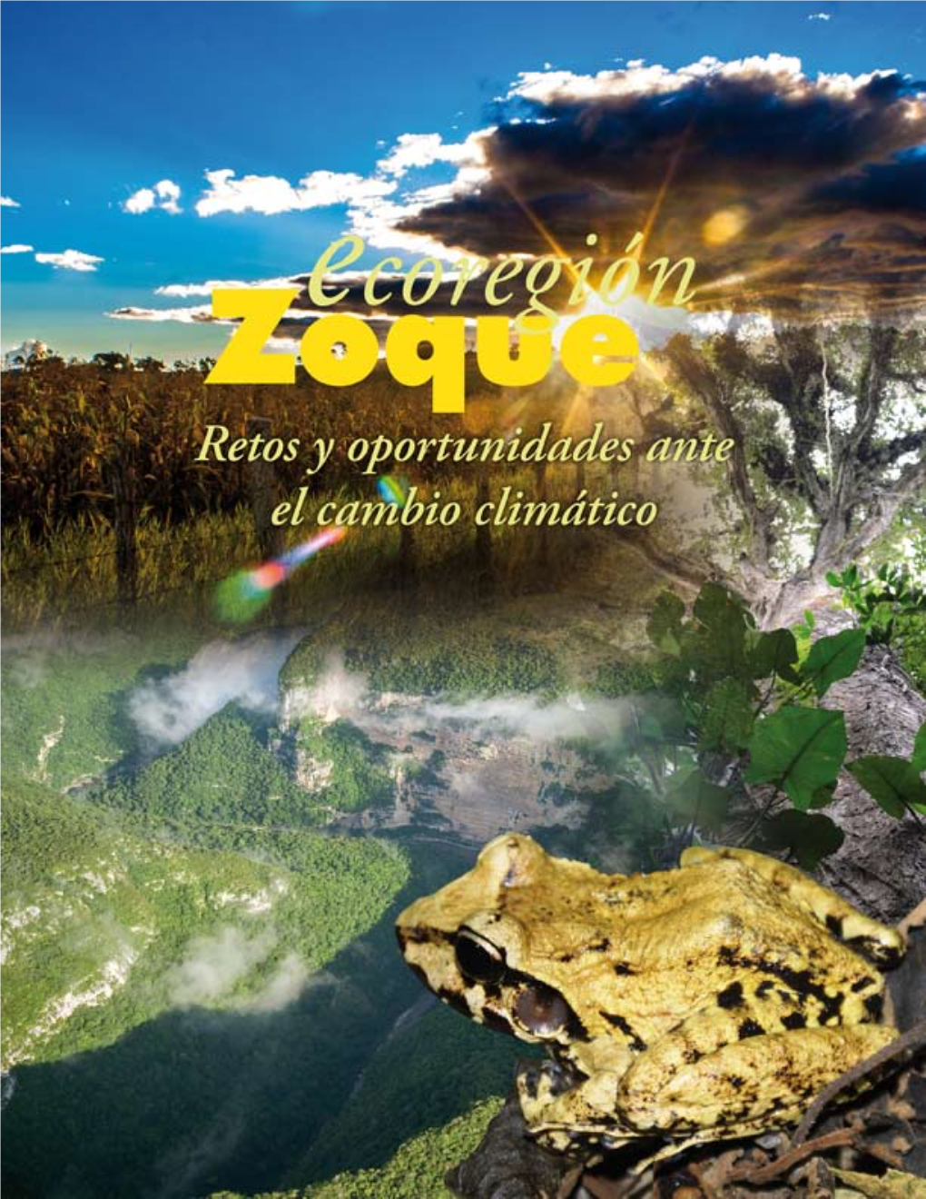 Ecoregion Zoque