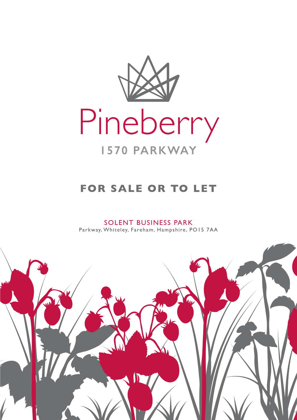 Pineberry Brochure V8.Pdf