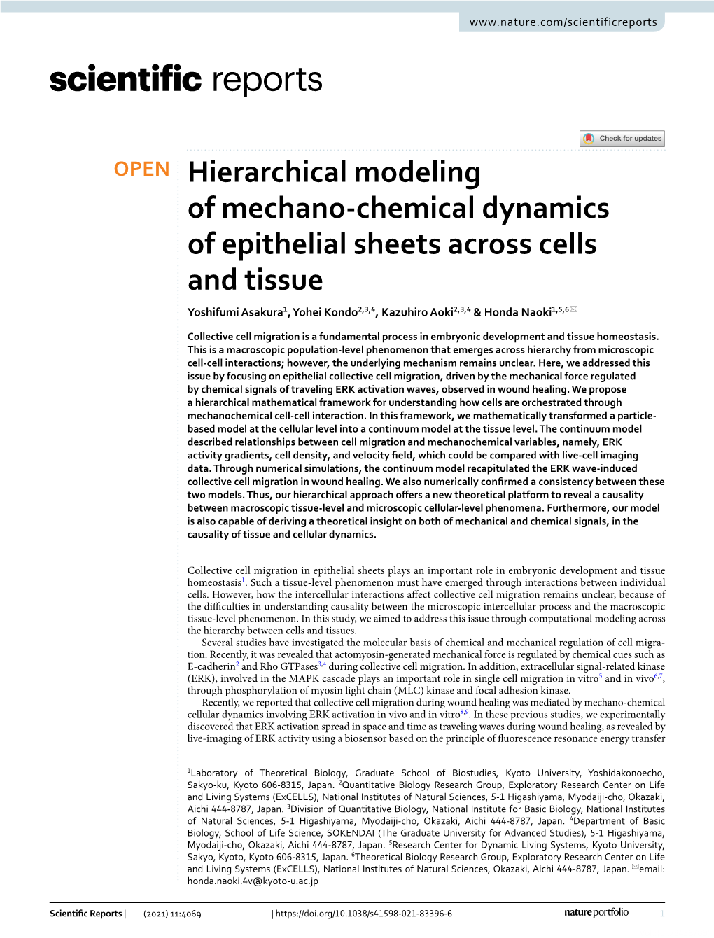 Hierarchical Modeling of Mechano-Chemical Dynamics Of