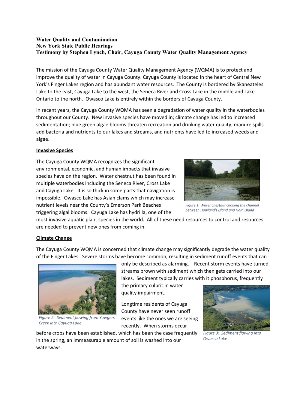 Water Quality and Contamination New York State Public Hearings Testimony by Stephen Lynch, Chair, Cayuga County Water Quality Management Agency