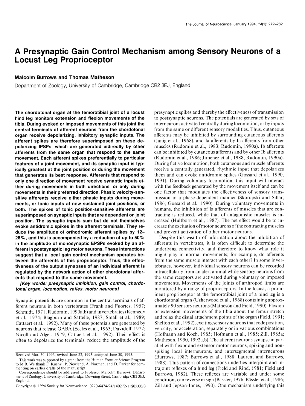 A Presynaptic Gain Control Mechanism Among Sensory Neurons of a Locust Leg Proprioceptor