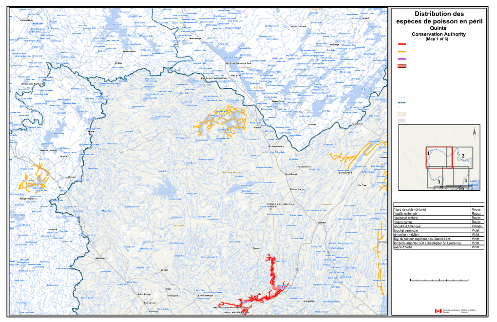 Distribution Des Espèces De Poisson En Péril